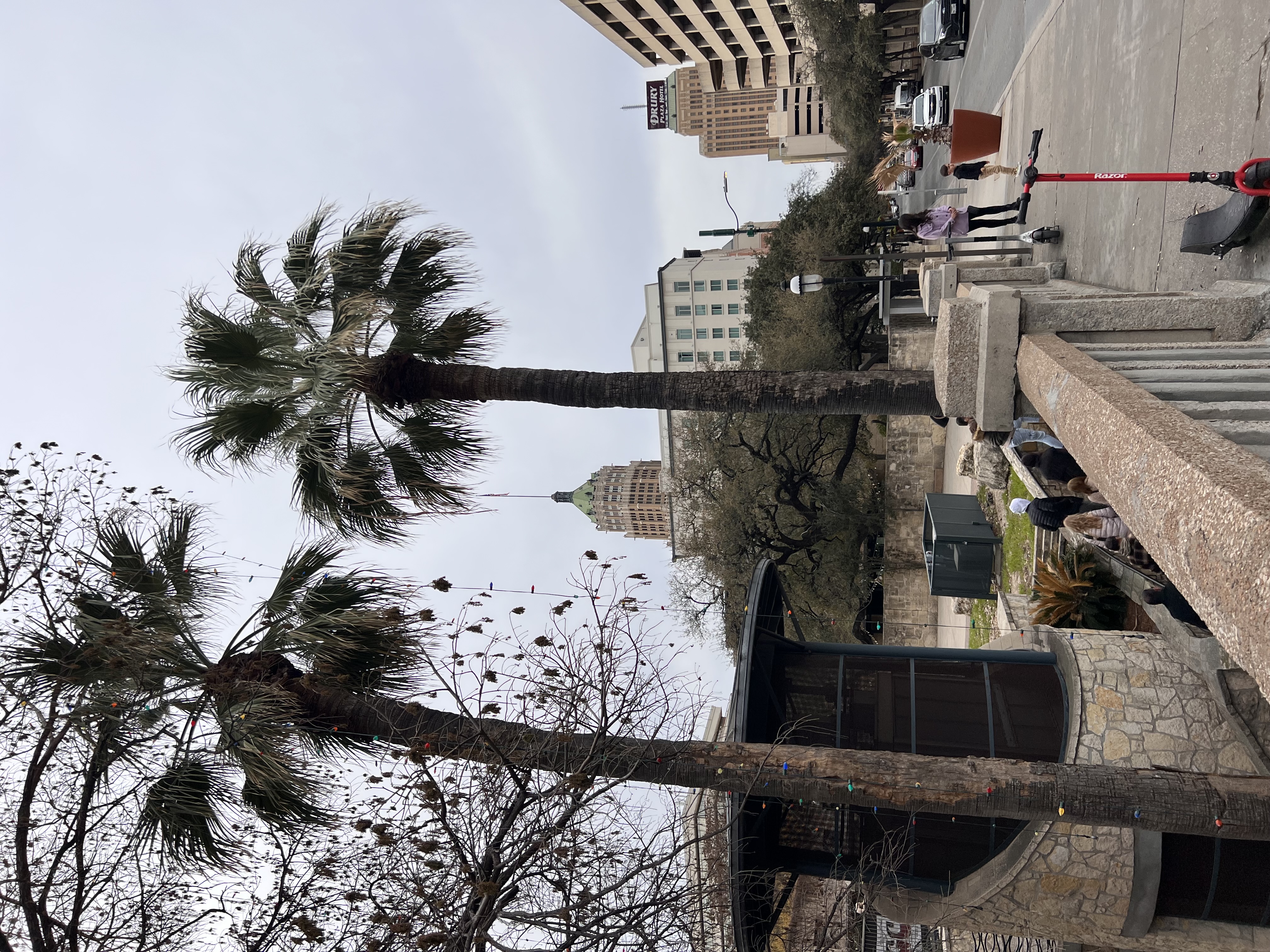 ./2023/02 - Texas/IMG_6681.JPG